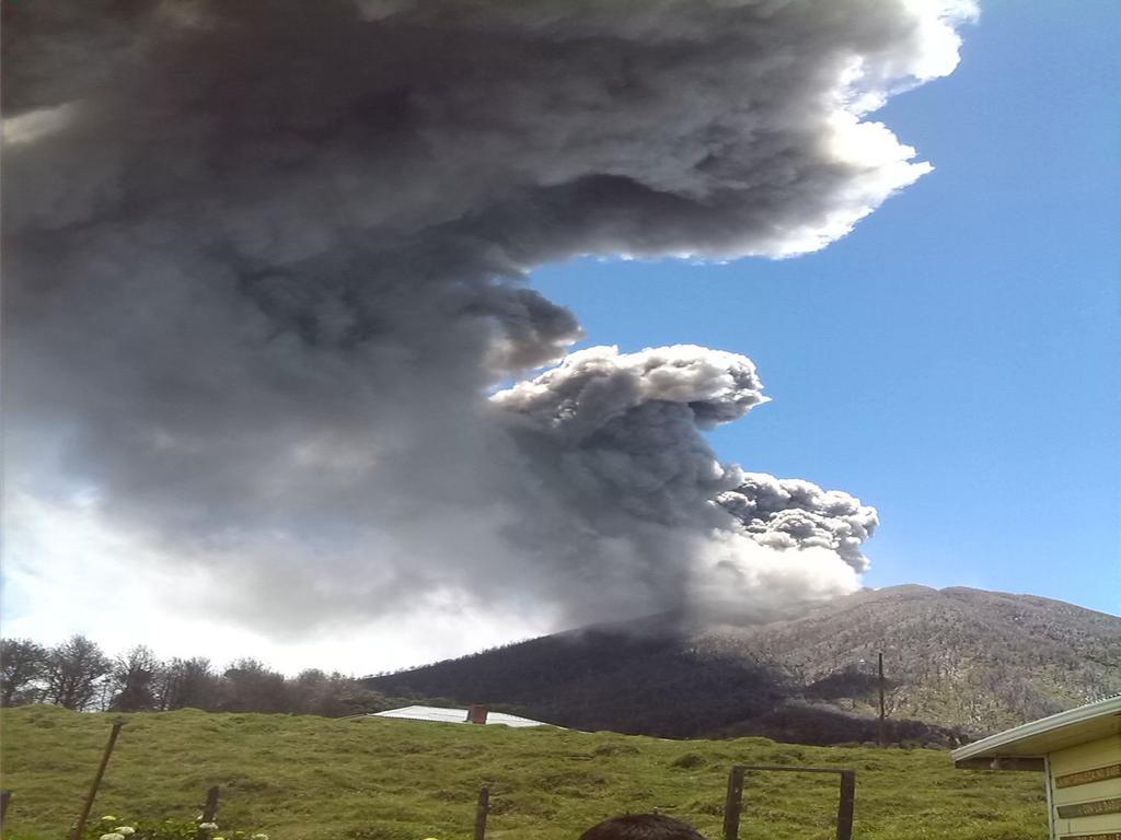 Green Mountain And Lodge Turrialba Dış mekan fotoğraf