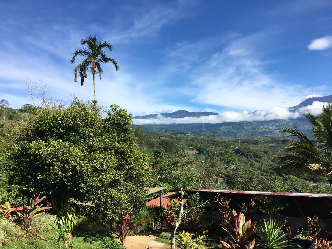 Green Mountain And Lodge Turrialba Dış mekan fotoğraf
