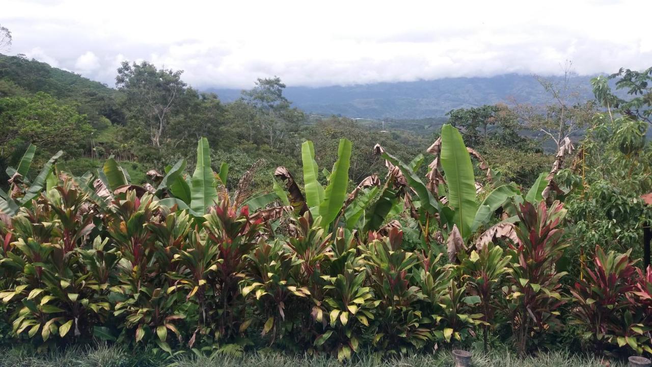 Green Mountain And Lodge Turrialba Dış mekan fotoğraf