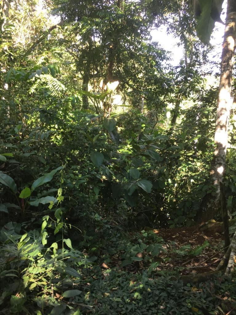Green Mountain And Lodge Turrialba Dış mekan fotoğraf